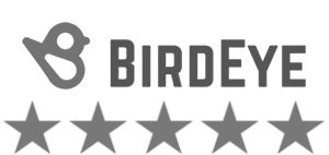 star-ratings-birdeye-1.png